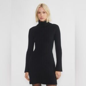 Aritzia Rhapsody Sweater Dress